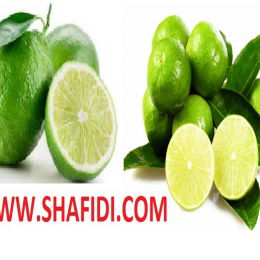 FRESH LIME OR CITRUS AURANTIFOLLIA